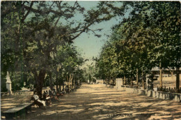 Gibraltar - Alamada Gardens - Gibraltar