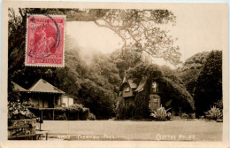 Auckland - Kiosk - New Zealand - Neuseeland