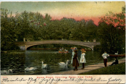 New York - Swan Pond - Central Park - Otros & Sin Clasificación
