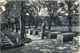 Herrnhut In Sachsen - Gottesacker - Herrnhut