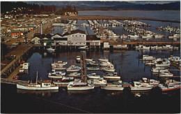 Port Basin - Ilwaco - Autres & Non Classés