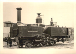 Dampf Lokomotive Muldenthal - Treinen