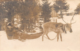 Finland - TAMPERE - Reindeer Sledge - REAL PHOTO - Publ. Unknown  - Finnland
