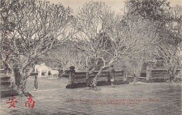 Vietnam - HUE - Éléphants Et Chevaux En Marbre Devant Le Tombeau De Tu Duc - Ed. P. Dieulefils 3531 - Vietnam