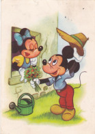 Walt Disney -Mickey Mouse And Minnie - Sonstige & Ohne Zuordnung