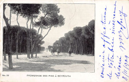 Liban - BEYROUTH - Promenade Des Pins - Ed. Inconnu 38 - Liban