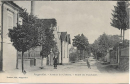 FOUGEROLLES Avenue Du Château. Route Du Val D' Ajol - Altri & Non Classificati