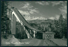 Belluno Cortina Trampolino Olimpionico Italia Foto FG Cartolina MZ5274 - Belluno