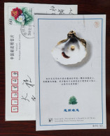 Shell,conch Shell,fresh Water Pearl,China 1999 Teacher Thanking Greeting Advertising Pre-stamped Card - Muscheln