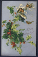 Catharina Klein - Robin Robins Bird - Holly & Red Berries Postcard - Vogels