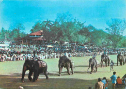 Animaux - Eléphants - Sri Lanka - Elephant Race - CPM - Voir Scans Recto-Verso - Éléphants