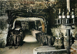 Vignes - Touraine - La Cave Au Pressoir - CPM - Carte Neuve - Voir Scans Recto-Verso - Viñedos