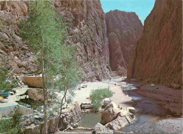 Maroc - Sud Marocain - Les Gorges Du Todra - CPM - Carte Neuve - Voir Scans Recto-Verso - Autres & Non Classés