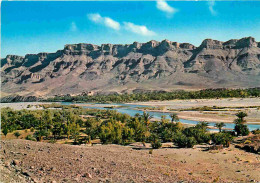 Maroc - Ouarzazate - Zagora La Vallée Du Draa - CPM - Carte Neuve - Voir Scans Recto-Verso - Autres & Non Classés