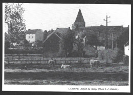 1980  --  BELGIQUE . LATINNE . VUE DU VILLAGE . 4A904 - Unclassified