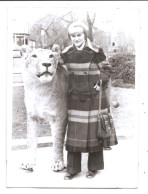 Photo Originale , Souvenir , Femme Avec Lion Empaillé !!!! , Dim. 6.5 Cm X 8.5 Cm - Anonyme Personen