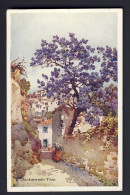 Jackaranda Tree - Flowers & Plants Of Madeira, Portugal - Ella Du Cane Artist - 1900-1949