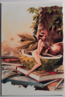 FEMME SEINS NUS - Feuille Arbre / Livre - Illustrateur William / Bellzébeths - Passion BD - Carte Postale - Pin-Ups