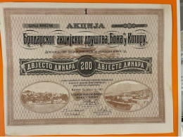 1921. KINGDOM OF SHS,MONTENEGRO,KOTOR,BOKA,SHIPPING SHAREHOLDING SOCIETY,200 DIN SHARE CERTIFICATE - Banca & Assicurazione