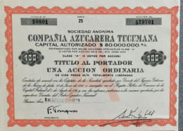 Compania Azucarera Tucumana -1959 - Buenos Aires - Una Accion Ordinaria - Agricoltura
