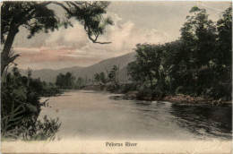 Pelorus River - New Zealand - Nuova Zelanda