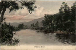 Pelorus River - New Zealand - Nieuw-Zeeland