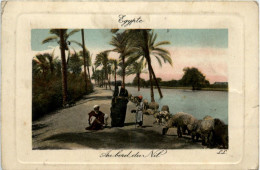 Egypt - Au Bord Du Nil - Altri & Non Classificati