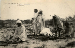 Somali - En Priere - Non Classificati