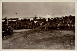 Massaua - Giardini Del Palazzo Del Governo - Eritrea