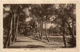 Conakry - Une Allee A Camayenne - Guinée