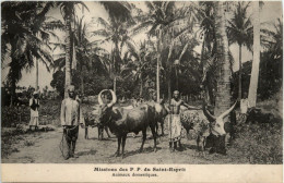 Congo - Animoux Domestiques - Sonstige & Ohne Zuordnung