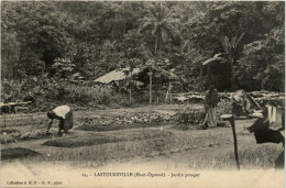 Lastoursville Ogooue - Jardin Potager - Gabon