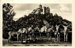 Warburg, Am Eselstandplatz - Höxter