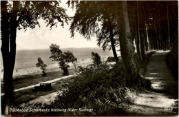 Ostseebad Scharbeutz, Waldweg In Der Kammer - Scharbeutz