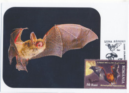 MAX 45 - 233 BAT, Romania - Maximum Card - 2009 - Pipistrelli