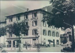 O650 Cartolina Schilpario Valle Di Scalve Albergo Centrale  Provincia Di Bergamo - Bergamo