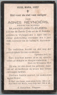 Bidprentje Vlijtingen - Reynders Agnes (1851-1926) - Images Religieuses