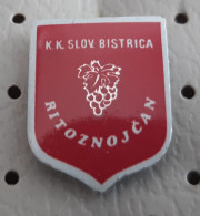 Basketball Club KK Slovenska Bistrica Ritoznojcan Slovenia Pin - Baloncesto