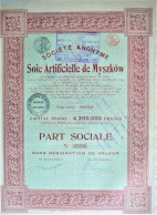 Soie Artificielle De Myszkow - Part Sociale (1924) - Renaix - Tessili