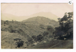 Rare Carte Photo - Mexique - Plantation De Café De San Patricio. Vue Générale Des Défrichements .  (001) - Culture