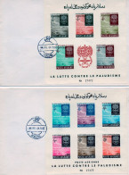 AFGHANISTAN.1962.  "LUTTE CONTRE LE PALUDISME".(MALARIA). 2 FDC.MI B25-B26 - Medicine