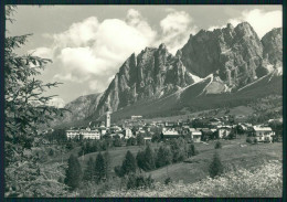 Belluno Cortina Pomagagnon Foto FG Cartolina MZ5310 - Belluno