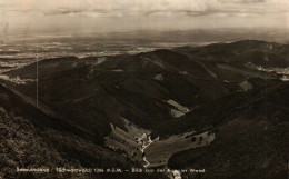 SCHAUINSLAND (Schwarzwald) 1286m ü.M. - Blick Von Der Kappler Wand - Freiburg I. Br.