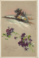 461 - Paysage Et Violettes " En Relief" - Bonne Fête - Fiori