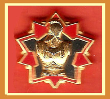 SUPER PIN'S "MILITARIA" GENIE En ZAMAC Double Moule Base Or, Signé FRAISSE, Format 1,8X1,8cm - Militares