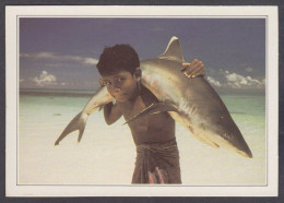 130004/ MALDIVES, Requin à Pointe Blanche - Geografia