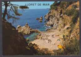 122470/ LLORET DE MAR, Cala Els Pins - Gerona