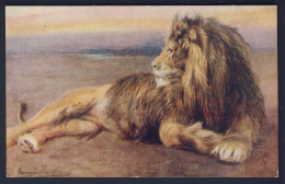 LION, Artist George Rankin - Wild Animals - Tuck Oilette # 8785 - Chats