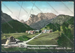 Belluno Sappada Cadore Foto FG Cartolina ZF6620 - Belluno