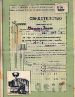 Diploma - Yugoslav Railways.Pioneer - Railwayman,Skopje 1949,Yugoslavia,Macedonia,Railway,Trains, - Historical Documents